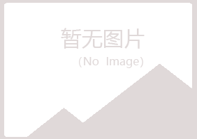 井研县夜山能源有限公司